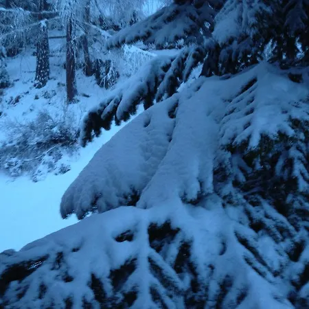 Apartment Haus Marico