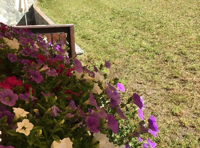 马里科之家公寓 公寓 采尔马特