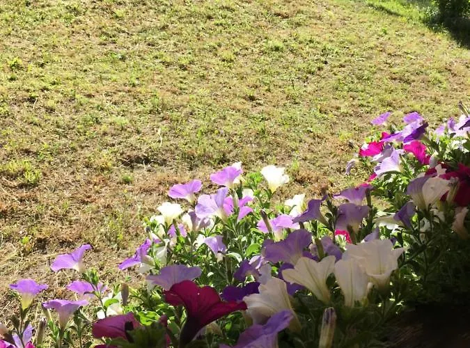 马里科之家公寓 采尔马特