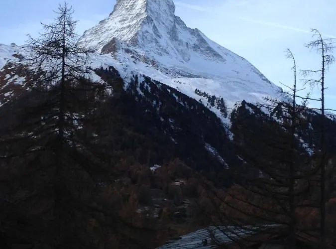 公寓 马里科之家公寓 *