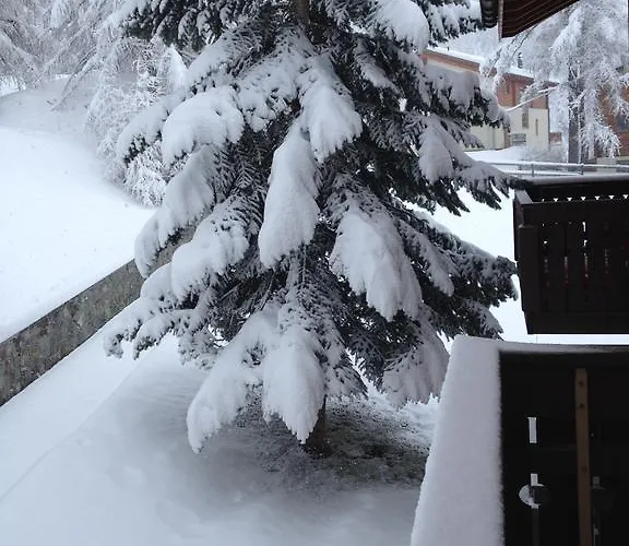 马里科之家公寓 * 采尔马特