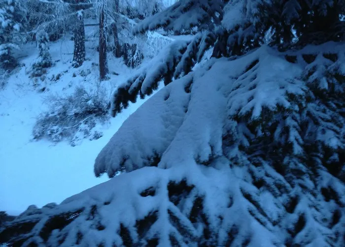 公寓 马里科之家公寓