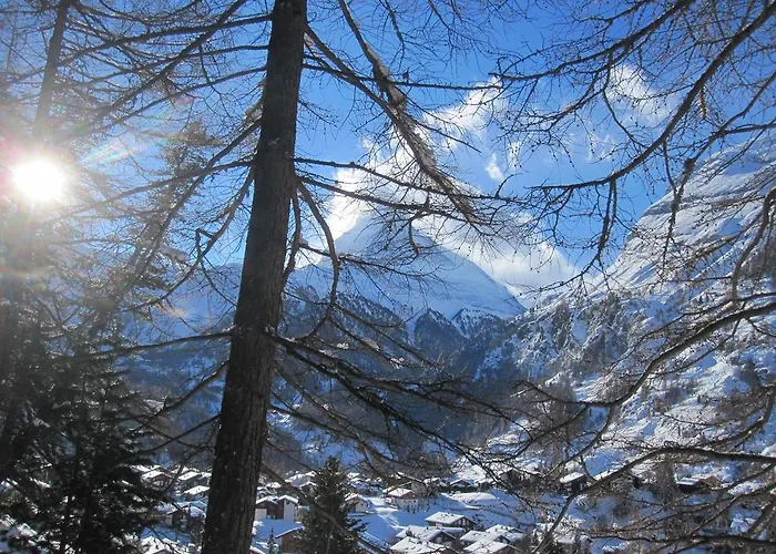 公寓 马里科之家公寓