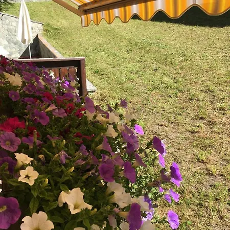 Haus Marico דירה צרמט