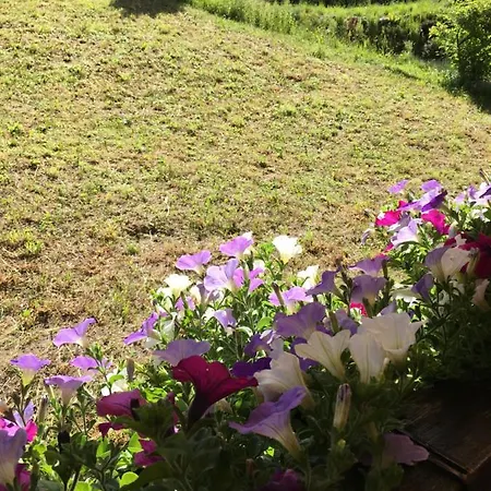 Haus Marico צרמט